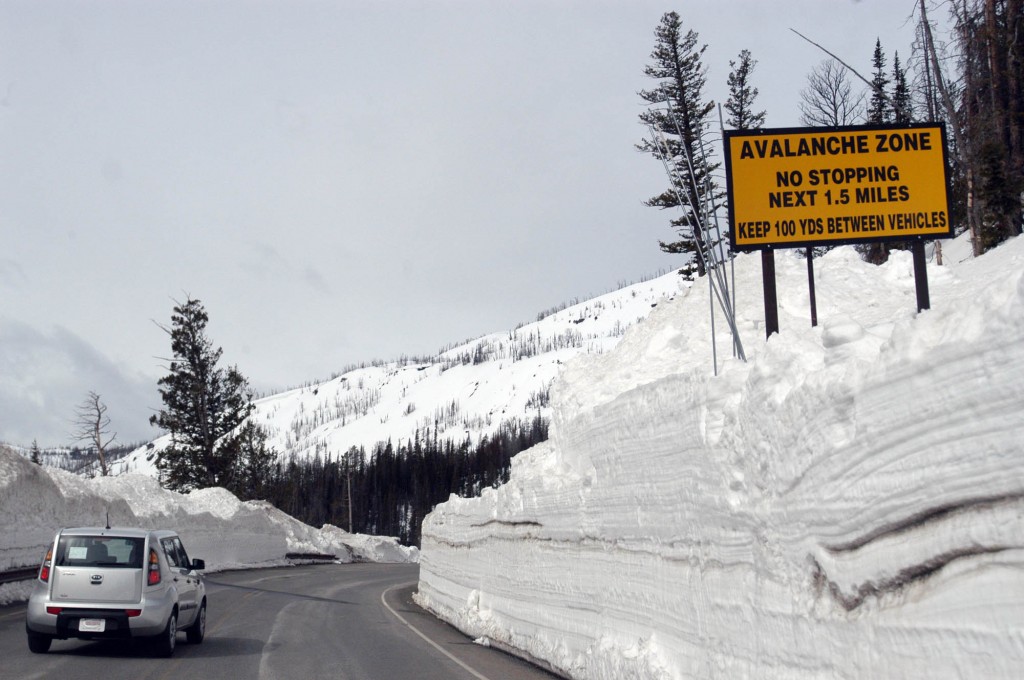 Yellowstone National Park spring travel brings solitude, quiet