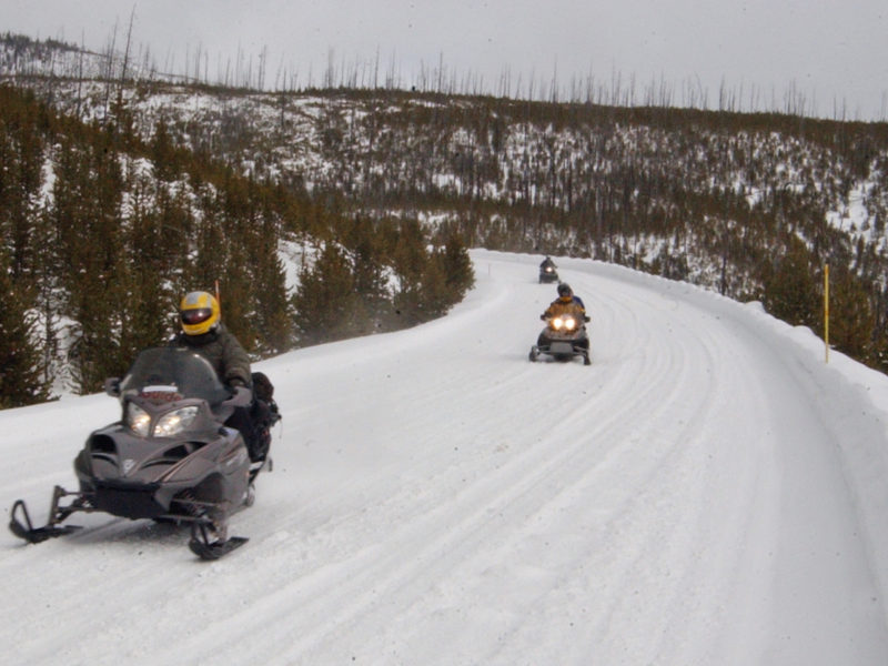 Commercial snowmobile guide John Davis leads visitors through Yellowstone National Park during a 2007 day trip.