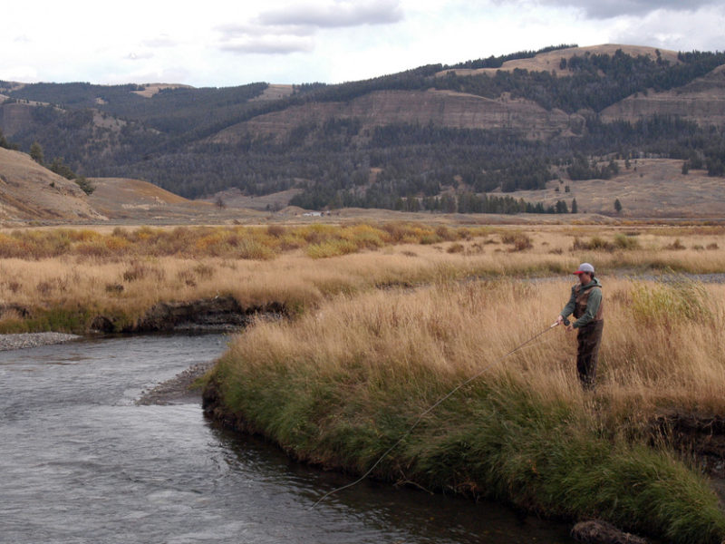 Dylan Riley fishes the Lamar River in Yellowstone National Park in October 2010 while visiting from California. (Ruffin Prevost/Yellowstone Gate)