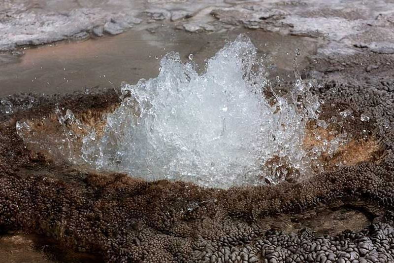 Aurum Geyser is one of many thermal features in Yellowstone National Park powered by geologic forces active since the first Yellowstone supervolacno eruptions, dating back millions of years. (Janet White - click to enlarge)