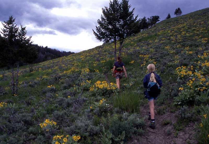 Yellowstone hikes — Lamar Valley