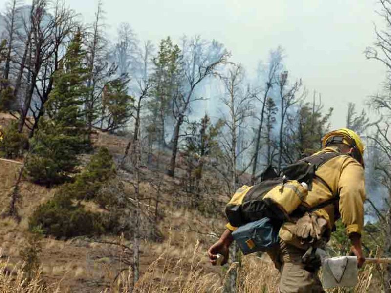 Fire danger in Yellowstone and Grand Teton national parks is high or very high going into the Fourth of July. (Ruffin Prevost/Yellowstone Gate file photo - click to enlarge)