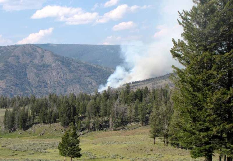 The Blacktail Fire in Yellowstone National Park covers about 15 acres and is burning near the Montana-Wyoming border between Mammoth Hot Springs and Tower Junction. (Inciweb photo - click to enlarge)