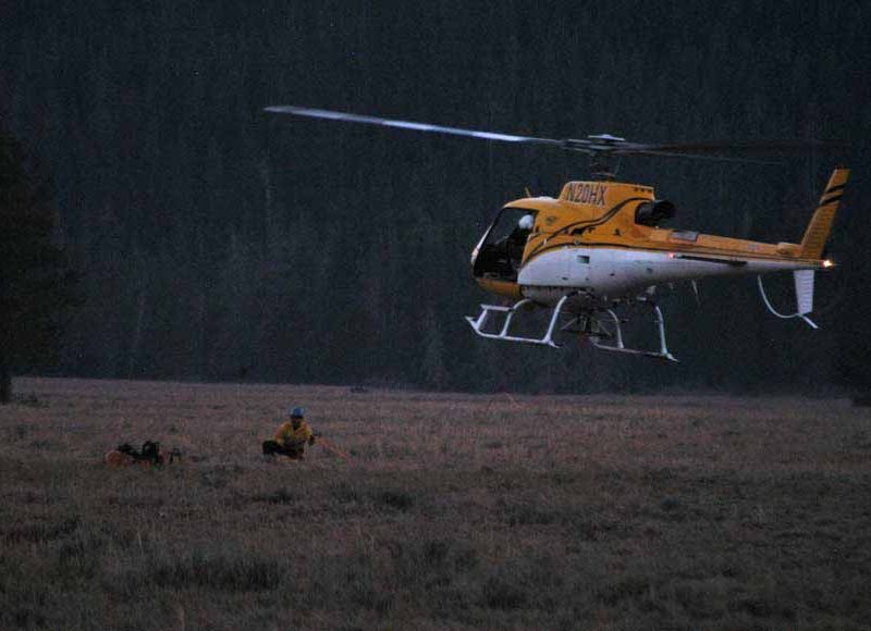 A search and rescue helicopter lands at the Jenny Lake rescue cache near Lupine Meadows in Grand Teton National Park in this 2012 file photo, after completing a short-haul extraction of an imperiled climber from the Teewinot Mountain area.