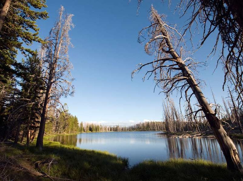 At an elevation of about 9,000 feet and 3.5 miles from an established trail, Mirror Lake on Yellowstone’s Mirror Plateau is one of the park’s more remote destinations. (Bradly J. Boner/WyoFile — click to enlarge)