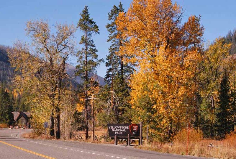 The East Gate of Yellowstone National Park is surrounded by colorful fall leaves.