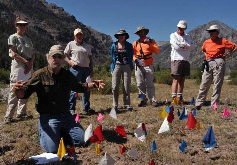 Archaeologist Larry Todd, kneeling, shows dozens of artifacts marked with small flags in the Shoshone National Forest during a July field trip sponsored by the Greater Yellowstone Coalition. (Ruffin Prevost/Yellowstone Gate - click to enlarge)