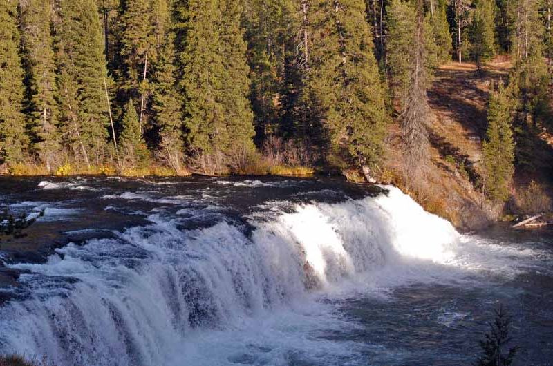 Cave Falls is 250 feet wide, making it the widest waterfall in Yellowstone National Park. It is located in the Bechler area in the southwestern corner of Yellowstone. (Ruffin Prevost/Yellowstone Gate - click to enlarge)