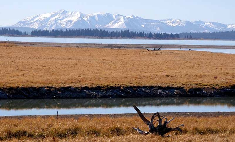 Grasses have turned form green to brown as cool October temperatures take hold along Pelican Creek where it flows into Yellowstone Lake in Yellowstone National Park.