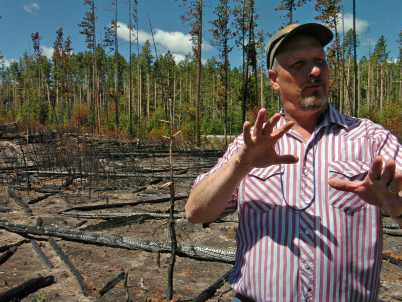 Roy Renkin, a vegetation specialist with the National Park Service, points out sections of a forest in Yellowstone National Park that were the subject of a prescribed burn in 2007 during a 2008 media tour looking back at the summer fires of 1988.