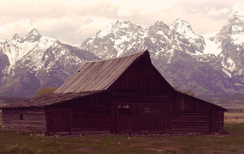 Volunteers have been instrumental in preserving the T.A. Moulton barn and other historic buildings in Grand Teton National Park.