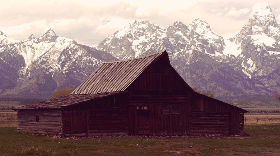 Volunteers have been instrumental in preserving the T.A. Moulton barn and other historic buildings in Grand Teton National Park.