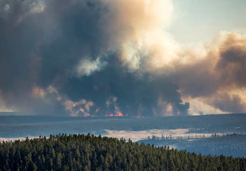 The Spruce fire burning in Yellowstone National Park, as seen from Dunraven Pass, covers a little over 2,100 acres.