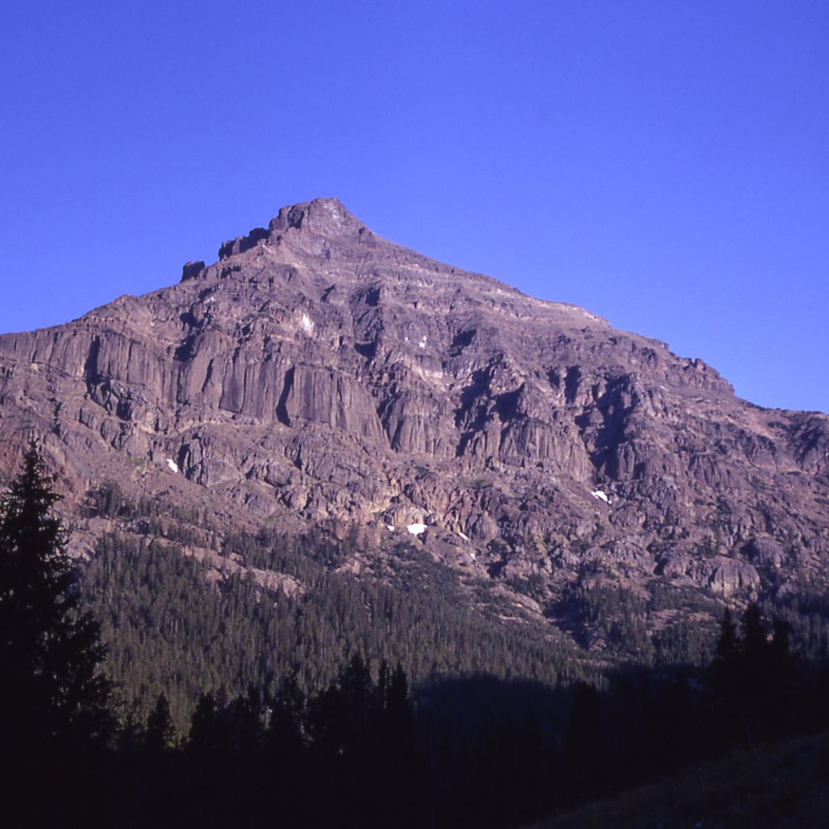 Search under way for man missing in remote corner of Yellowstone Park