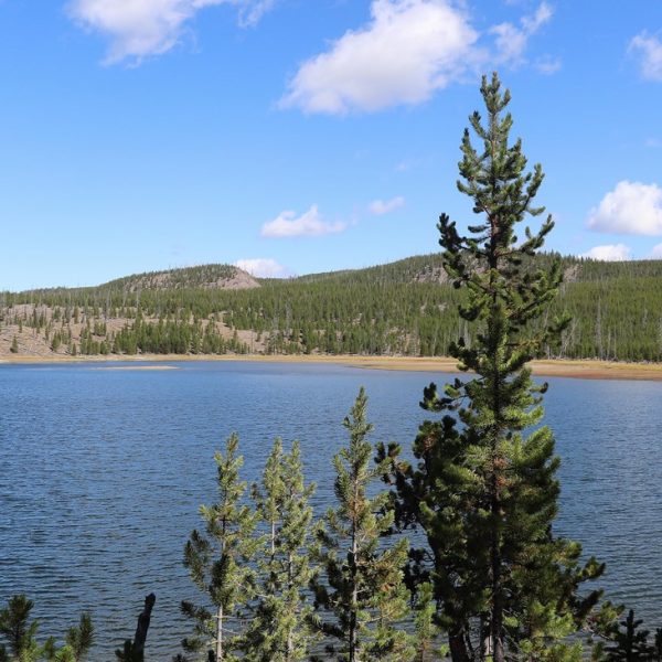 Woman burned at off-trail thermal site in Yellowstone