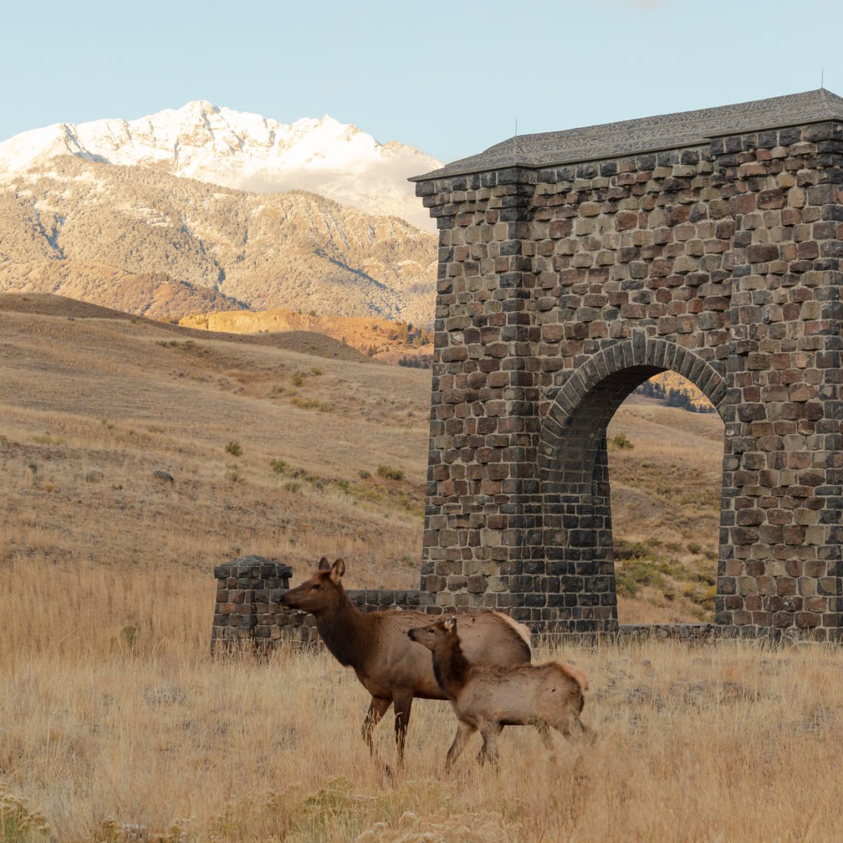 Last week to visit Yellowstone for season