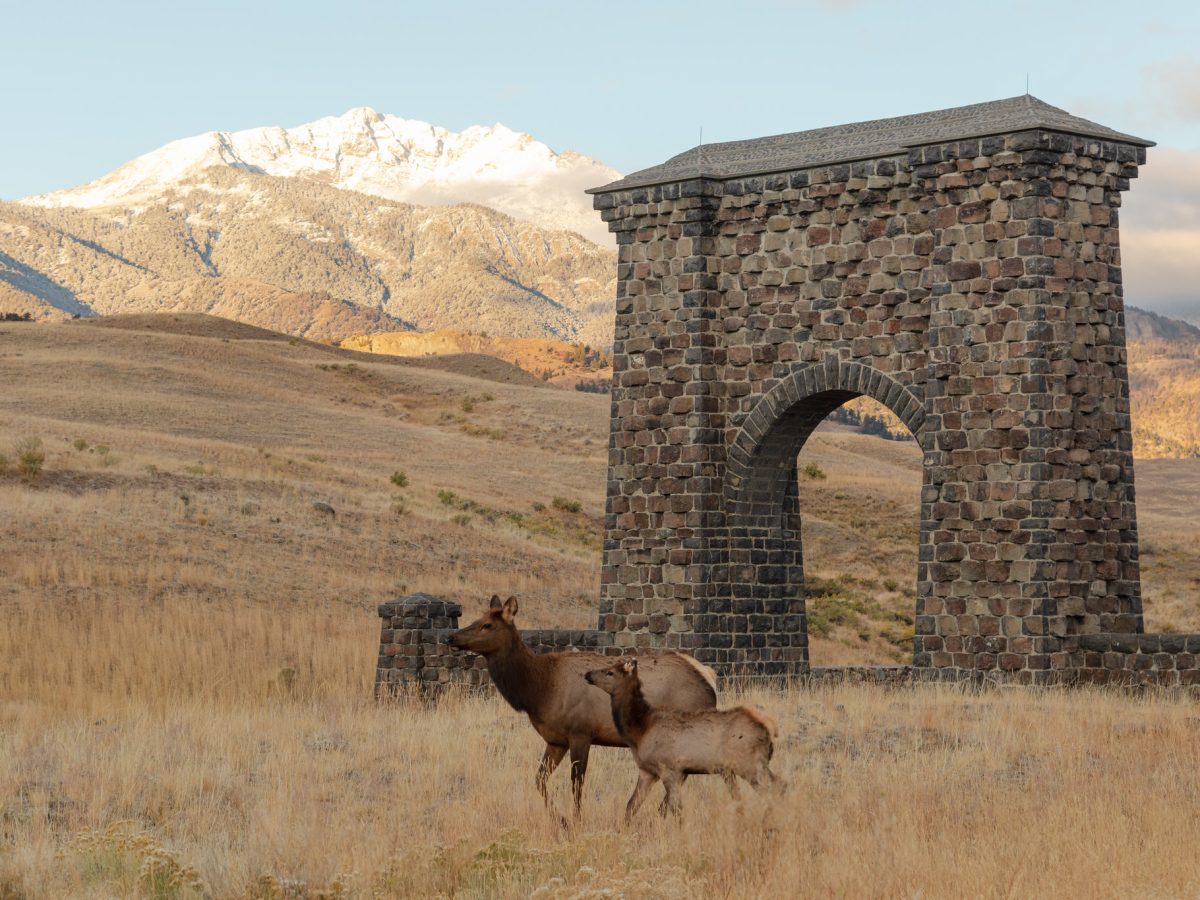 Last week to visit Yellowstone for season