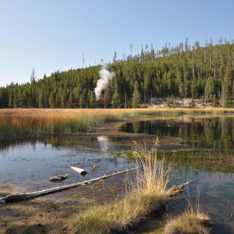 Yellowstone geology year in review for 2024